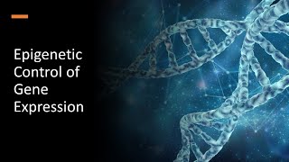 Epigenetic Control of Gene Expression [upl. by Stannfield450]