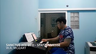 WA Mozart  Sanctus Sparrow MassSpatzenmesse KV 220 [upl. by Hymen]