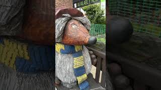 The Wombles Wimbledon Walk 🚶 thewombles environment walkingtour wimbledon londonwalks [upl. by Navar]