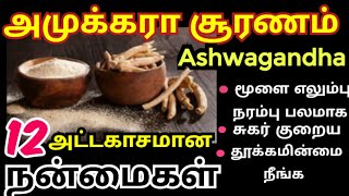 amukkara chooranam benefitsஅமுக்கரா பொடிஅஸ்வகந்தாashwagandha usesamukkara kilanguஅமுக்கிரா பொடி [upl. by Nylanna472]