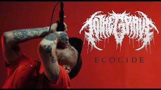 TO THE GRAVE  Ecocide Official Music Video [upl. by Etnovert]