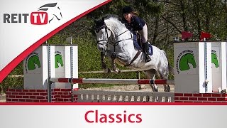 Springreiten lernen Anforderungen Springparcours Klasse E  REITTVClassics [upl. by Pachston]