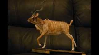 How to make a Kudu Sculpture [upl. by Anelis]