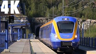 Trains Norrtåg X62 Husum Sweden 4K [upl. by Ebony]