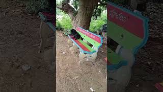 Oorellipotha Mama Song viralvideo trendingshorts dog follow trend localmegadancer2 [upl. by Hanae]