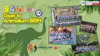 Field Trip 5 Granada goes to ANIMALIUM BRIN [upl. by Aluk]