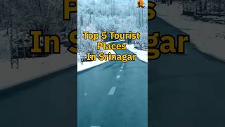 Top 5 tourist places in Srinagar travel kashmirjourney viral shortsvideo [upl. by Kcirddec30]