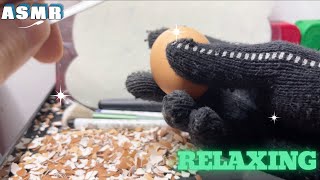 ASMR peel the shiny eggs 3 asmr relaxing [upl. by Urbain333]