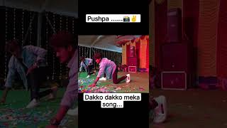 pushpa movie  dakko dakko meka song [upl. by Patti]