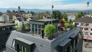 Begrünung Dachterrasse in Arbon [upl. by Levison]