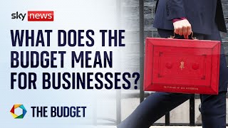 How will the budget affect businesses  Budget 2024 [upl. by Ignatia385]