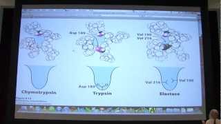 12 Biochemistry Catalytic Mechanisms I Lecture for Kevin Aherns BB 450550 [upl. by Trik]