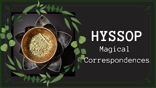 Hyssop Correspondences amp Uses In Magical Practice  Hyssopus Officinalis  Witchcraft [upl. by Aneeles]