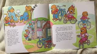 The Berenstain Bears Too Much TV [upl. by Darius]