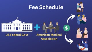 What is Fee Schedule Allowed AmountApproved Amount [upl. by Eahsram]