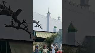 Hazrat Khwaja Kutubuddin bakhtiyar kaki RA ki Majar per ll mehrauli ll shortsfeed [upl. by Kifar]