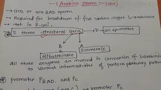 Arabinose Operon Part 1 Dr Preeti Dharmik [upl. by Riay326]