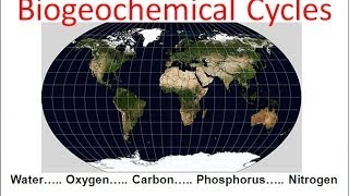 Biogeochemical Cycles honors biology updated [upl. by Doolittle161]