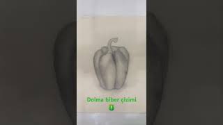 Dolma biber çizimi🫑🌶 [upl. by Ynitsed28]