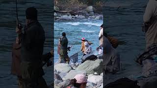 Its not easy to put a really big salmon in a net I ❤️ salmon fishing Vedder river Canada 🇨🇦 17 [upl. by Ahteres]