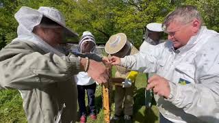 Binder unterhält Der Schwarm geht ab  Jupp  imker beelife bienen imkerei imkern [upl. by Gertrud]