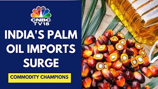 India Increases Palm Oil Imports From Indonesia Ambassador Ina Hagniningtyas Krisnamurth [upl. by Aya]