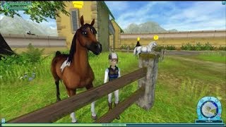 Star Stable SSO Pferdekaufvideo  Ich kaufe mir einen Araber Pinto [upl. by Aehtrod]