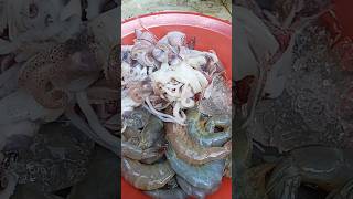 cooking seafood food fish octopus shorts [upl. by Borden]