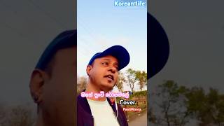 Mage Punchi Rosa Male ❣️💞මගේ පුංචි රෝසමලේ Cover paaliwarna [upl. by Erlene]