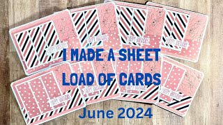 I made a Sheetload of cards June 2024 SheetLoad of Cards [upl. by Yslek101]