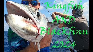 2024 Fall Kingfish season Blackfinn tuna Red snapper [upl. by Xanthus359]