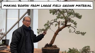 Making Bonsai from Large field grown material [upl. by Ardel]