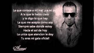 Arcangel Feat De La Ghetto  Sorpresa [upl. by Darrell]