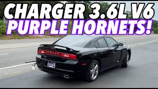 2013 Dodge Charger AWD 36L V6 w PURPLE HORNET GLASS PACKS [upl. by Tarrsus103]