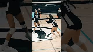 MiraCosta College Womens Volleyball [upl. by Avihs]