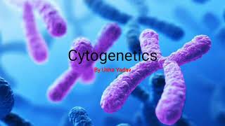 CSIR Basic concept of Cytogenetic  karyotype   BioLog [upl. by Portland116]