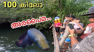 EP05🔥Hand feeding “GIANT” arapaima in Thailand 🇹🇭 [upl. by Ponzo]