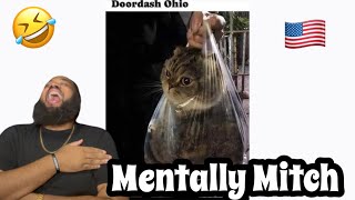 Mentally Mitch  2024 Presidential Debate Memes pt 3  REACTION [upl. by Eiram74]