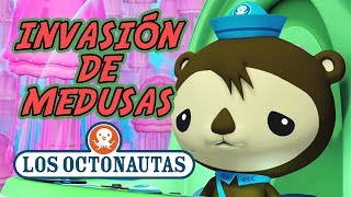 Los Octonautas Oficial en Español  Las Invasión de Medusas  Episodio 36 [upl. by Anifesoj]