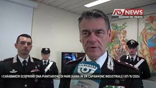 I CARABINIERI SCOPRONO UNA PIANTAGIONE DI MARIJUANA IN UN CAPANNONE INDUSTRIALE  07112024 [upl. by Wurster]