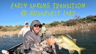 Early Spring Transition  Roosevelt Lake [upl. by Kcirde]