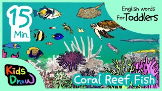 Coral Reef Fish  20 minutes Compilation  English Words for Toddlers  Kids Draw [upl. by Htebazila]