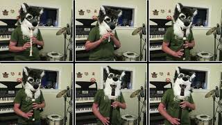 quotBransle de la Torchequot but its performed by a Fursuiter [upl. by Eynobe]