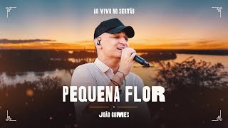 PEQUENA FLOR  João Gomes Ao Vivo no Sertão [upl. by Nyllewell789]