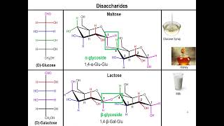 Lec10  Disaccharides and Polysaccharides [upl. by Yltneb930]