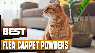 Best Flea Carpet Powder In 2024  Top 10 Flea Carpet Powders Review [upl. by Anirrehs]