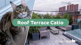 ProtectaPet Roof Terrace Catio  Bespoke Installation 😺 [upl. by Wie]