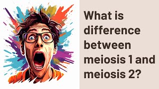 What is difference between meiosis 1 and meiosis 2 [upl. by Annirak]