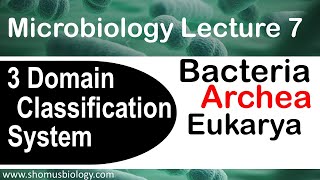 Microbiology lecture 7  3 domain classification system  Archea bacteria and eukarya [upl. by Yraccaz631]