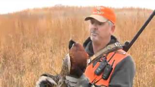 Pheasants Forever Television Season 7 Episode 9 Promo [upl. by Anastos]